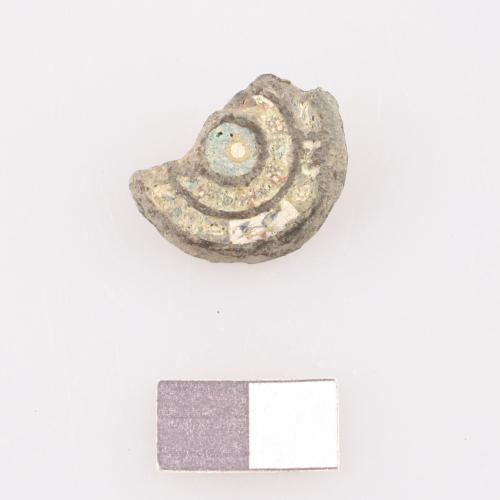 Landessammlungen Niederösterreich