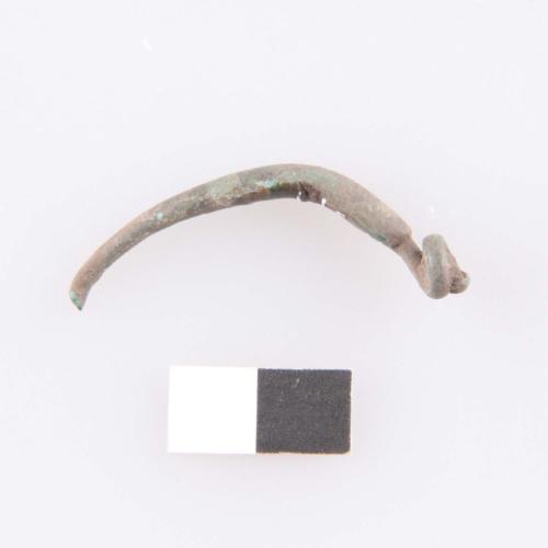 Landessammlungen Niederösterreich