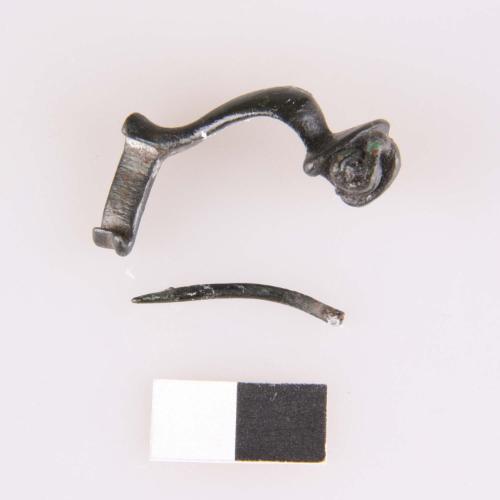 Landessammlungen Niederösterreich