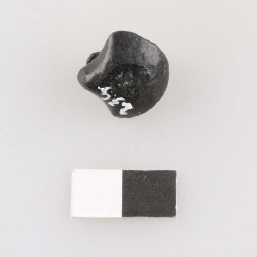 Landessammlungen Niederösterreich